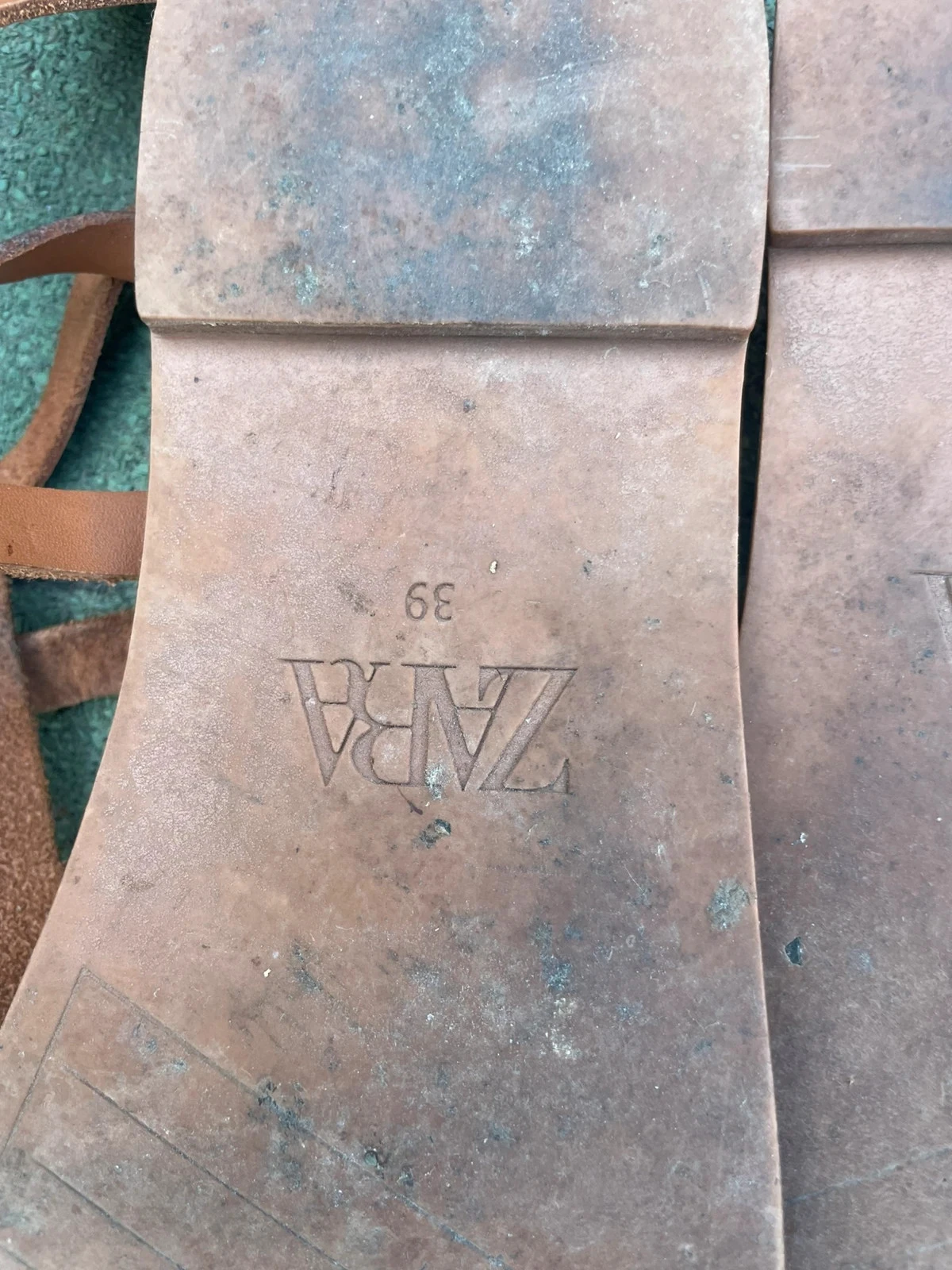 Pés nus camelo – photo 3